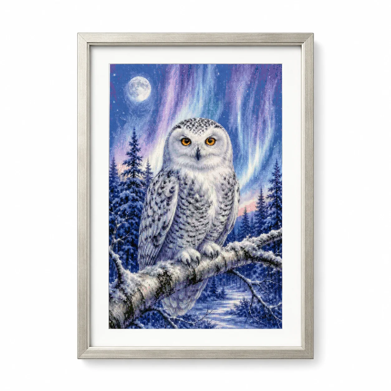 [ZZ8820-Winter Watch Owl] | Be - Cross Stitch Stamped Kits Beginners recension och pris